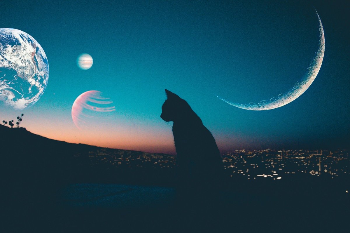 Красивый полумесяц