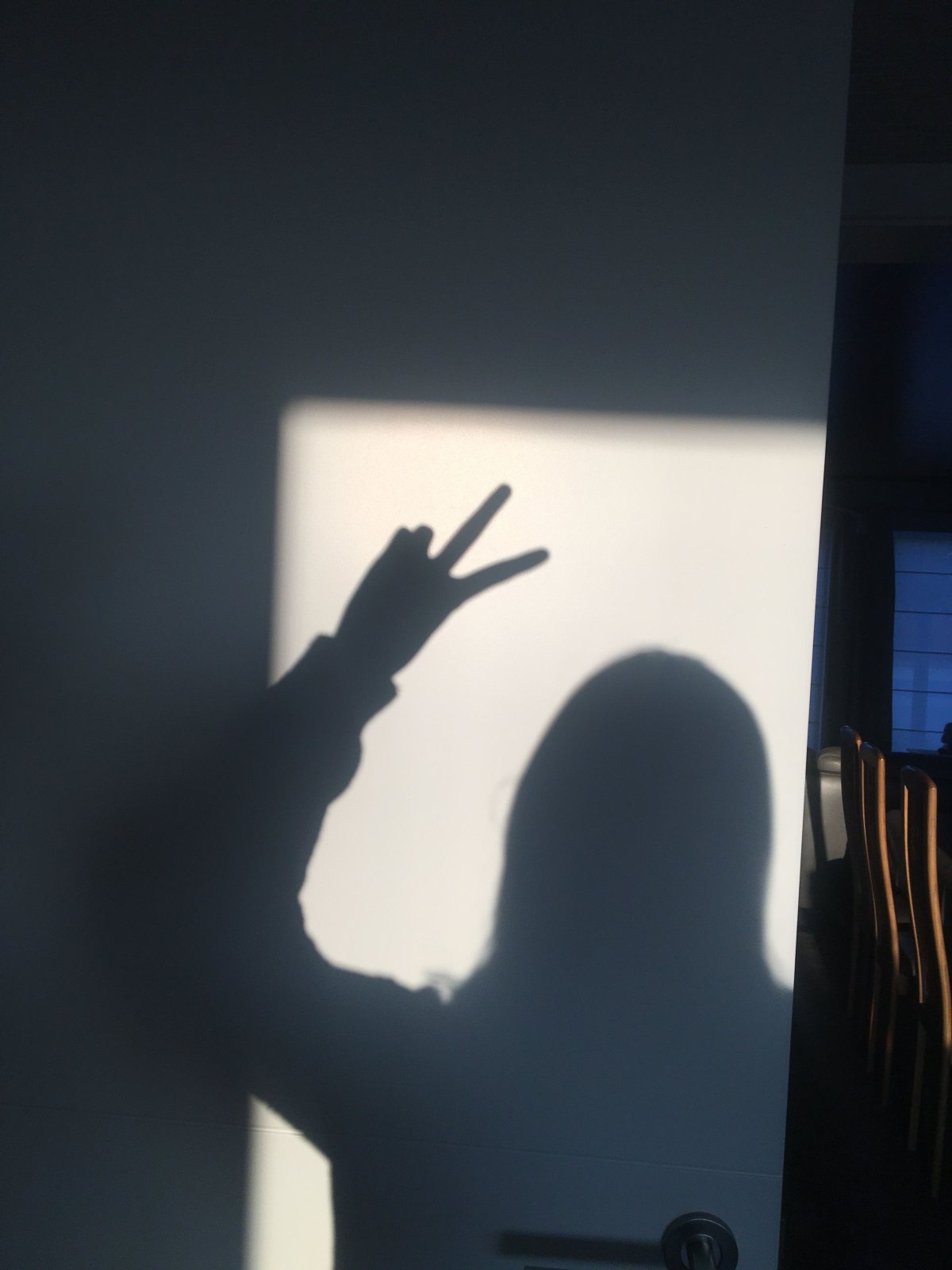 Фото из тени