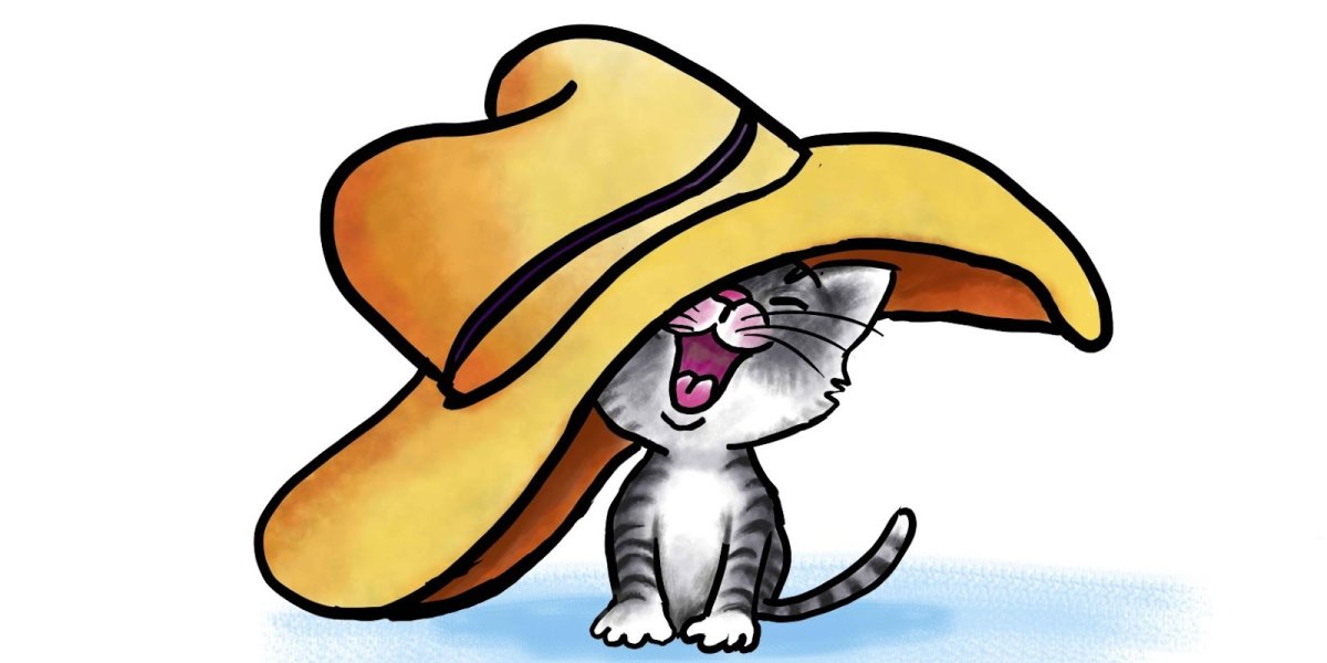 Рассказ н.н.Носова Живая шляпа