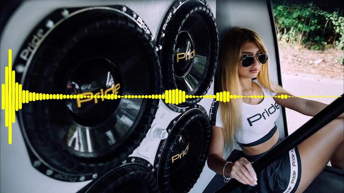 Автозвук альфард машина