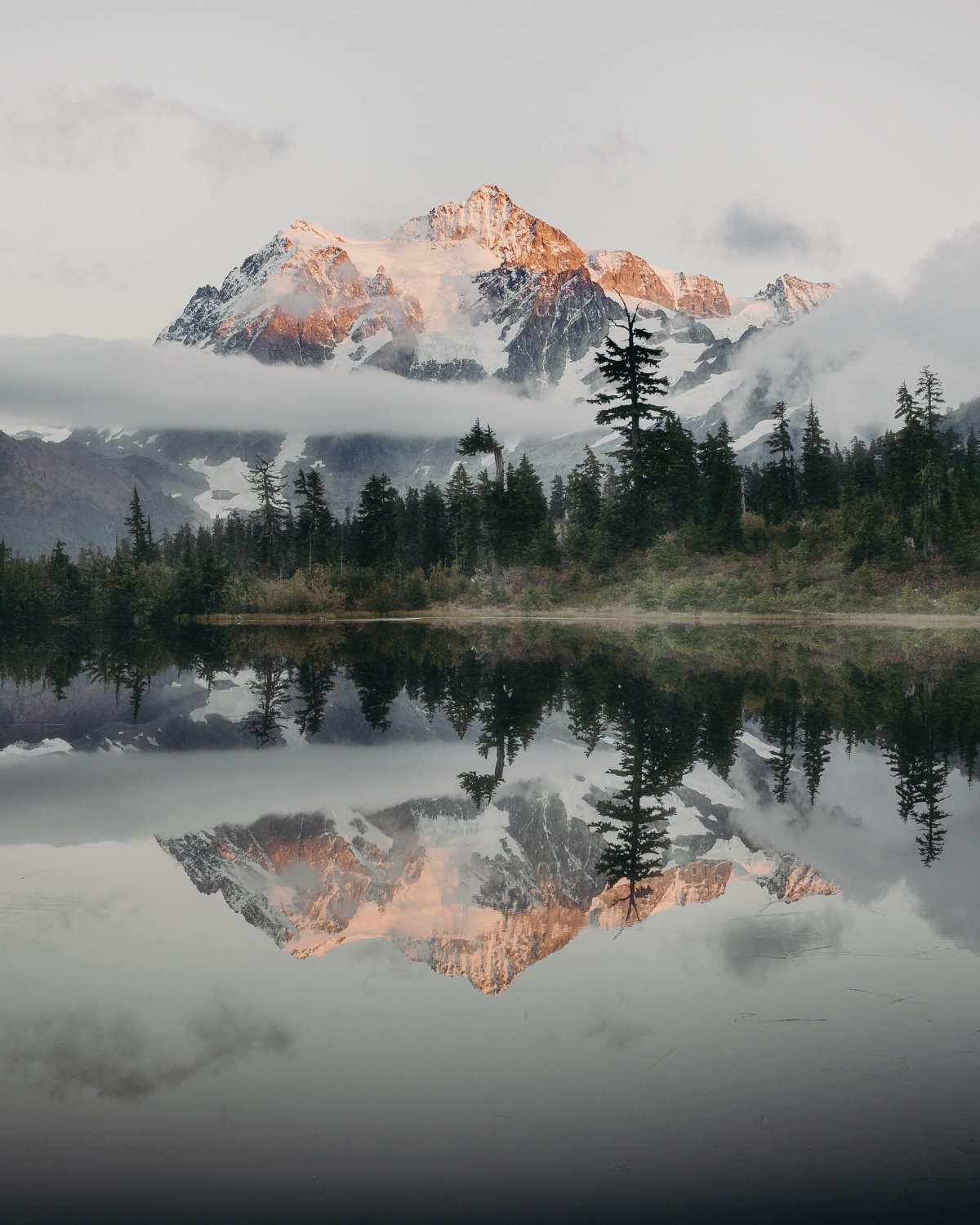 Природа из пинтереста