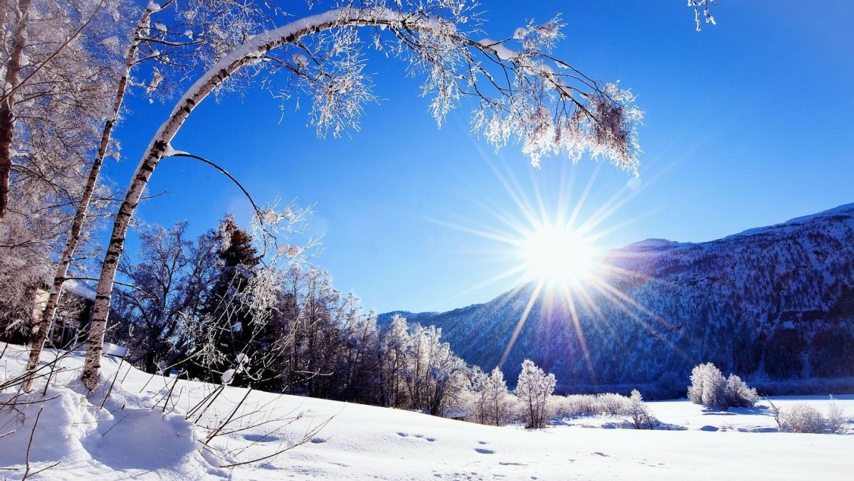 Зимние поздравления