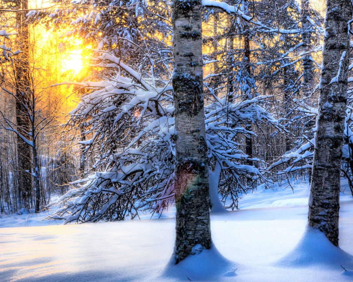 Зимний пейзаж