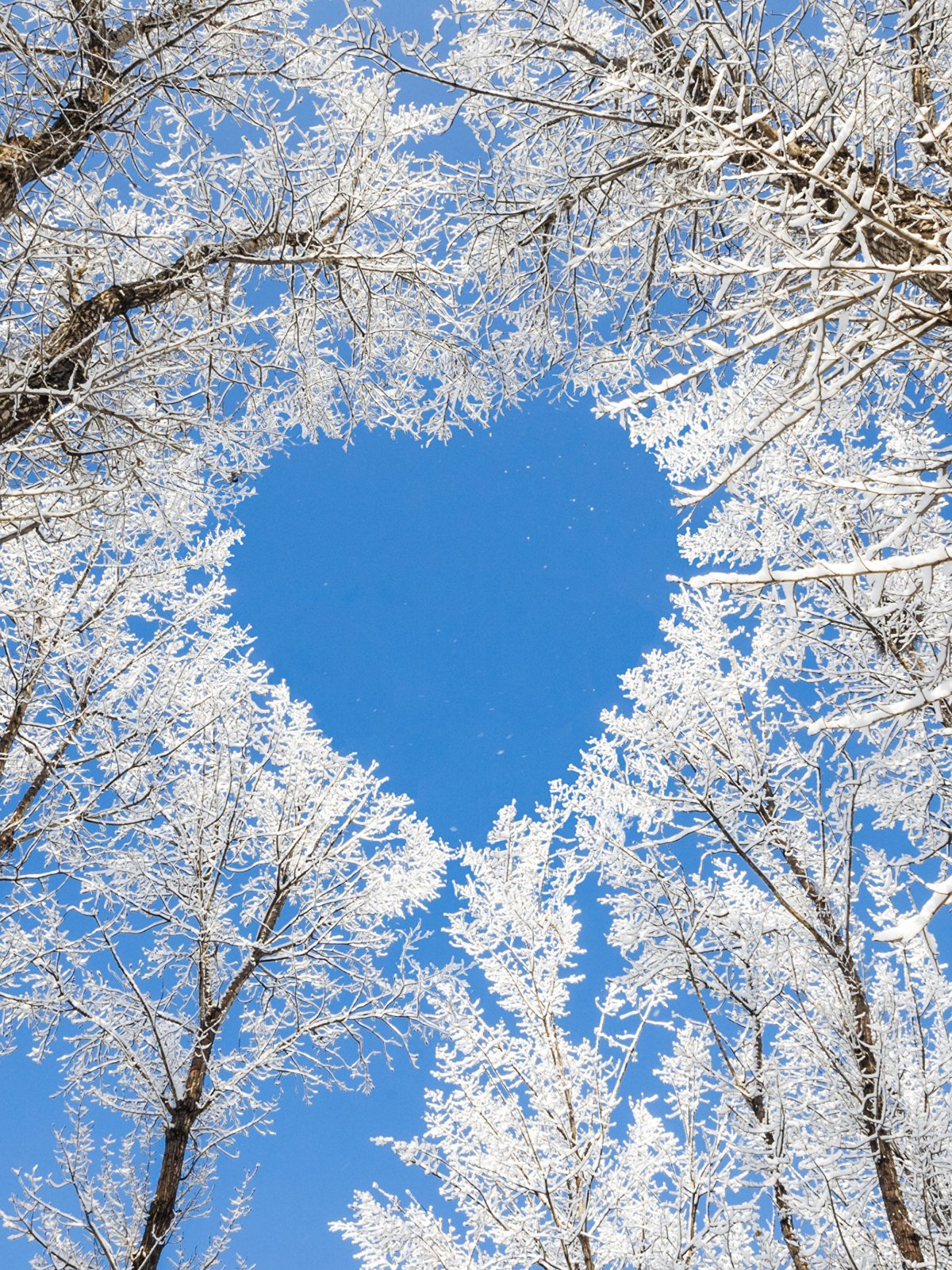 Славянский праздник водосвет-Водокрес 19