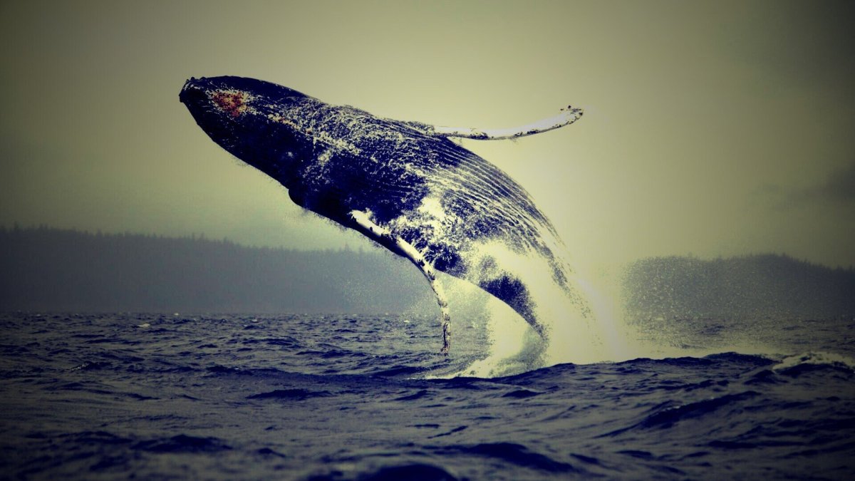 Синий кит в небе