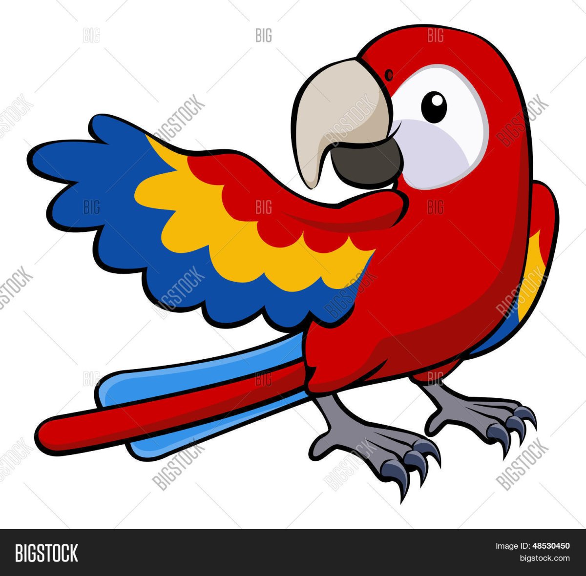 Попугай на белом фоне мультяшный