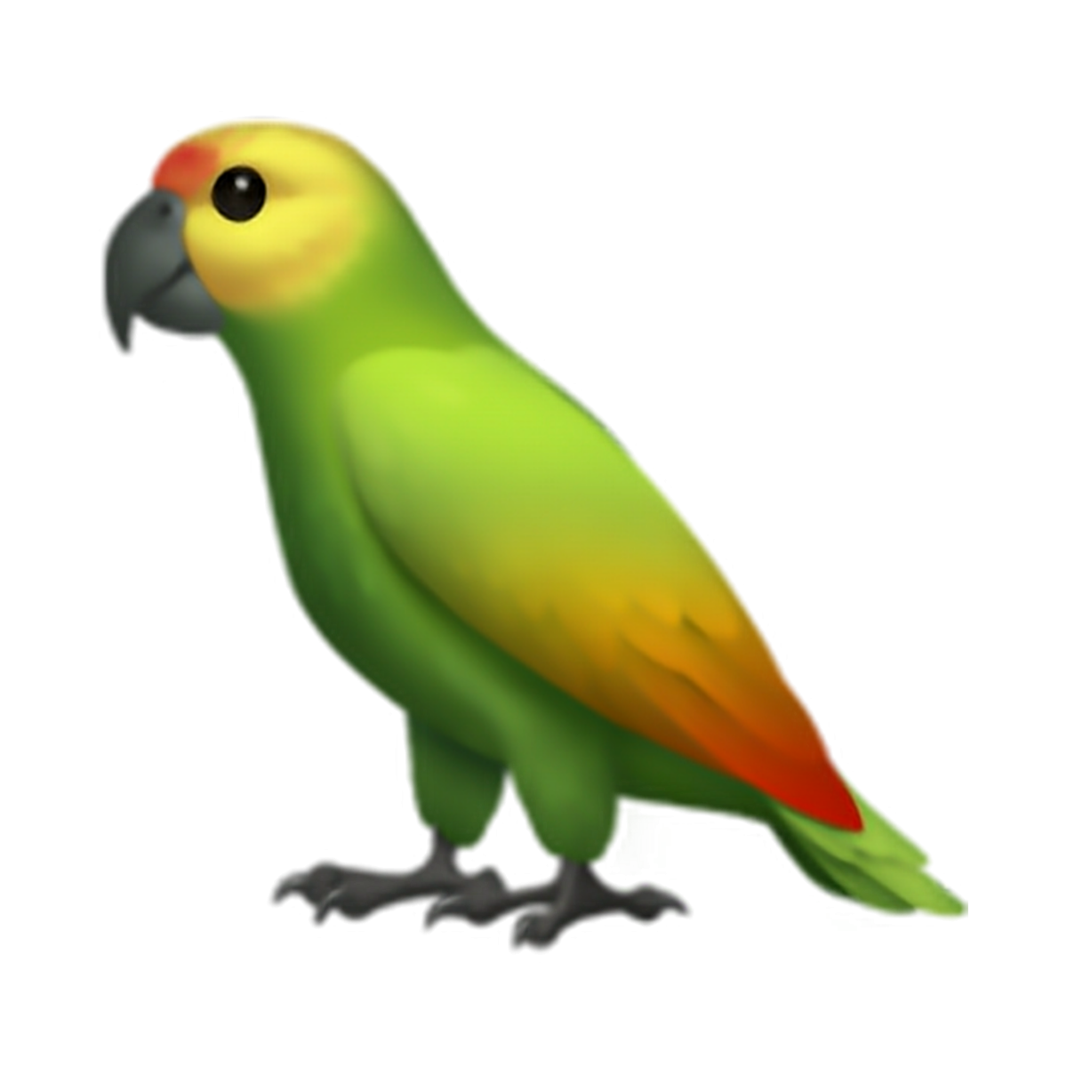 Три попугая