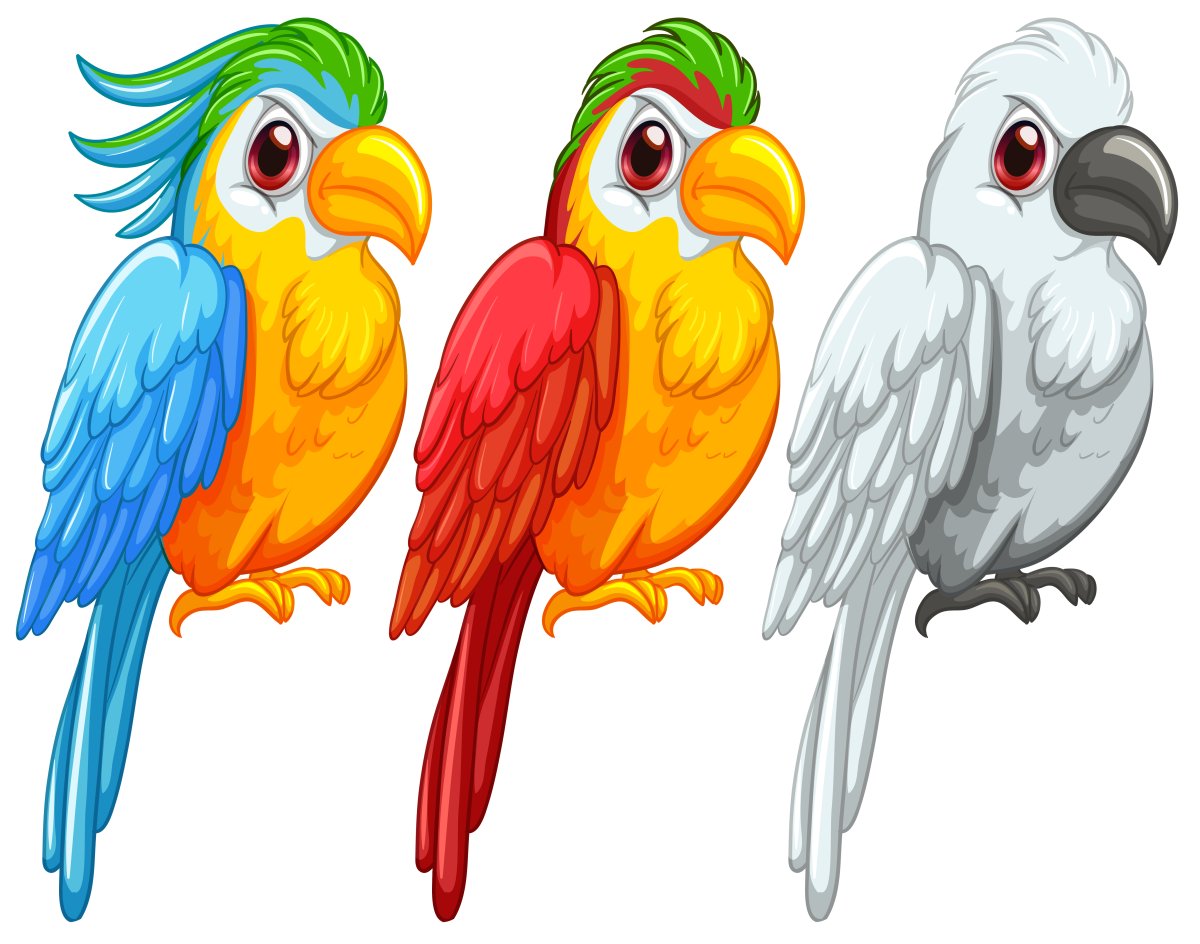 Попугай для вырезания