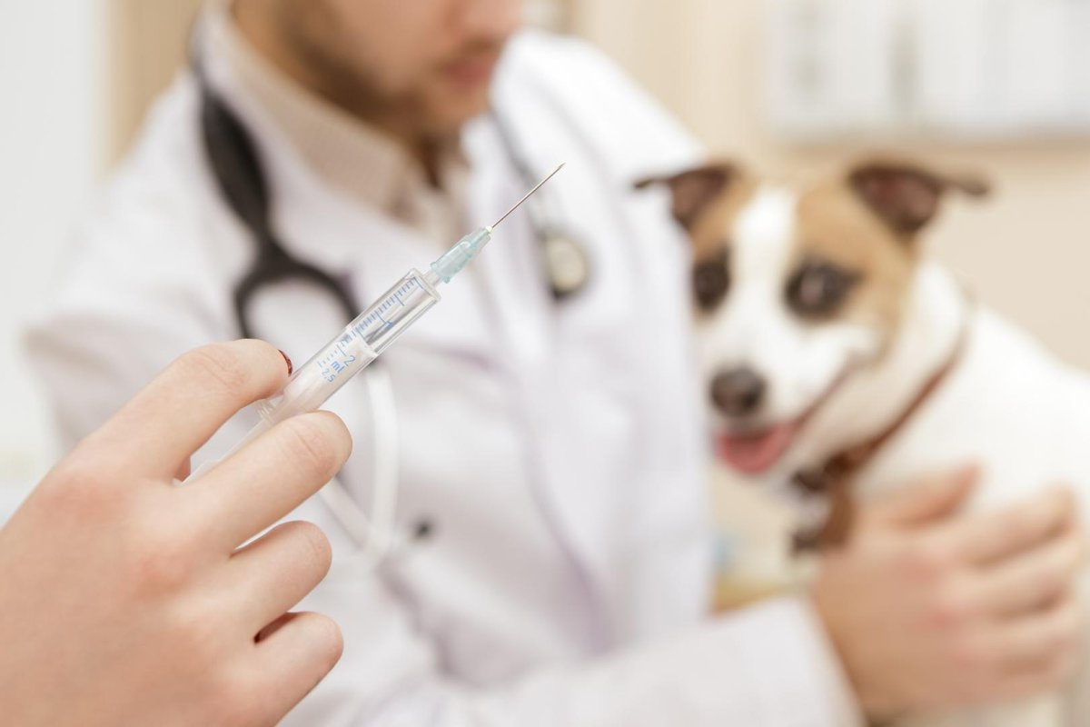 Ветеринарная клиника