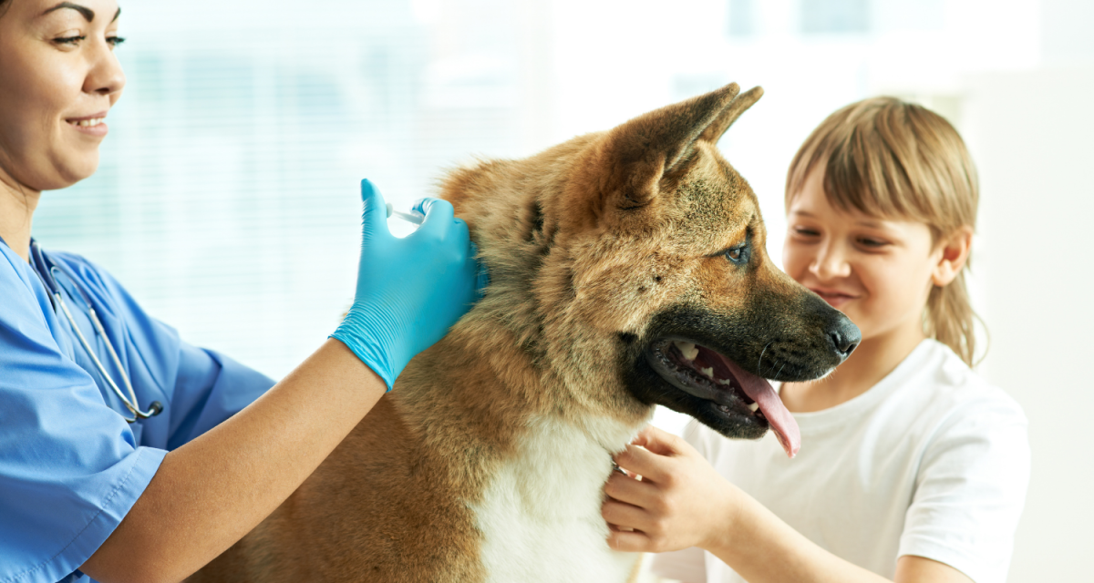 Прививка животных