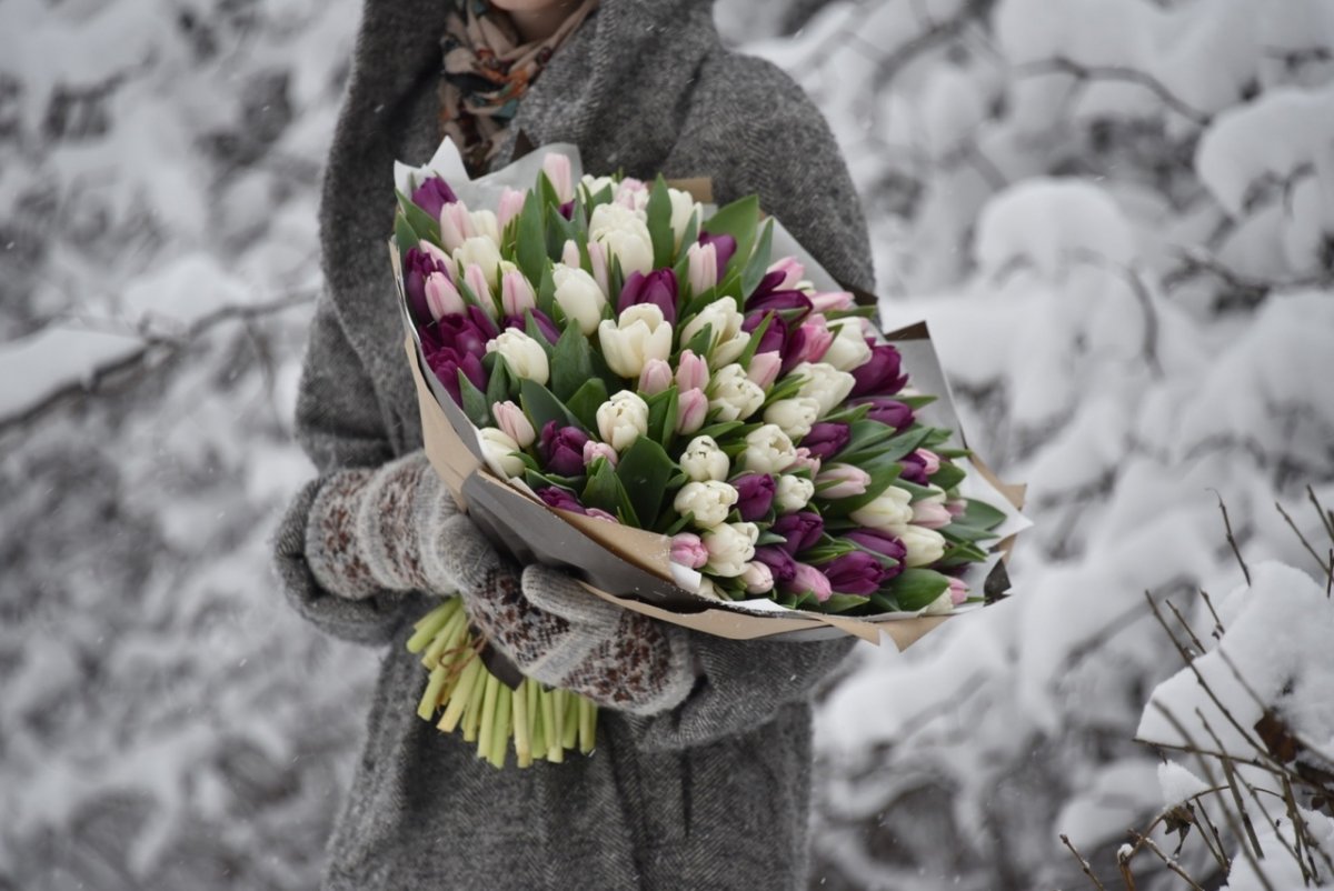 Тюльпаны в зимнем саду