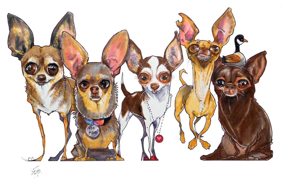 Чихуахуа мультяшный