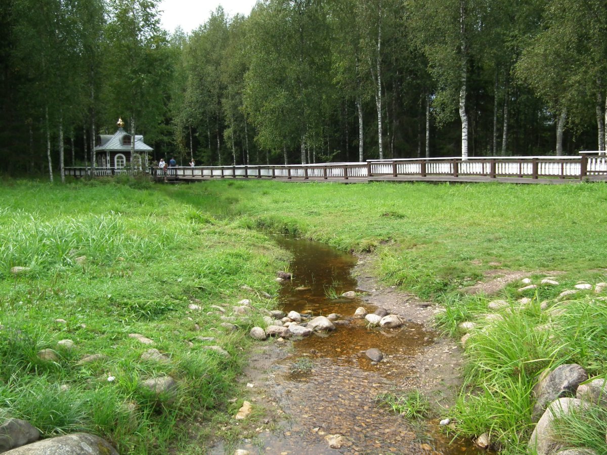 Воронец у истока реки