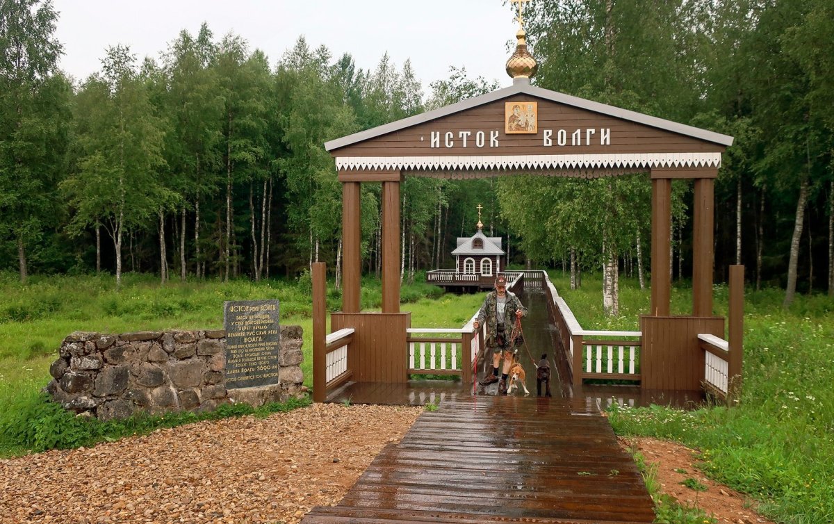 Исток Волги Волговерховье Тверская область