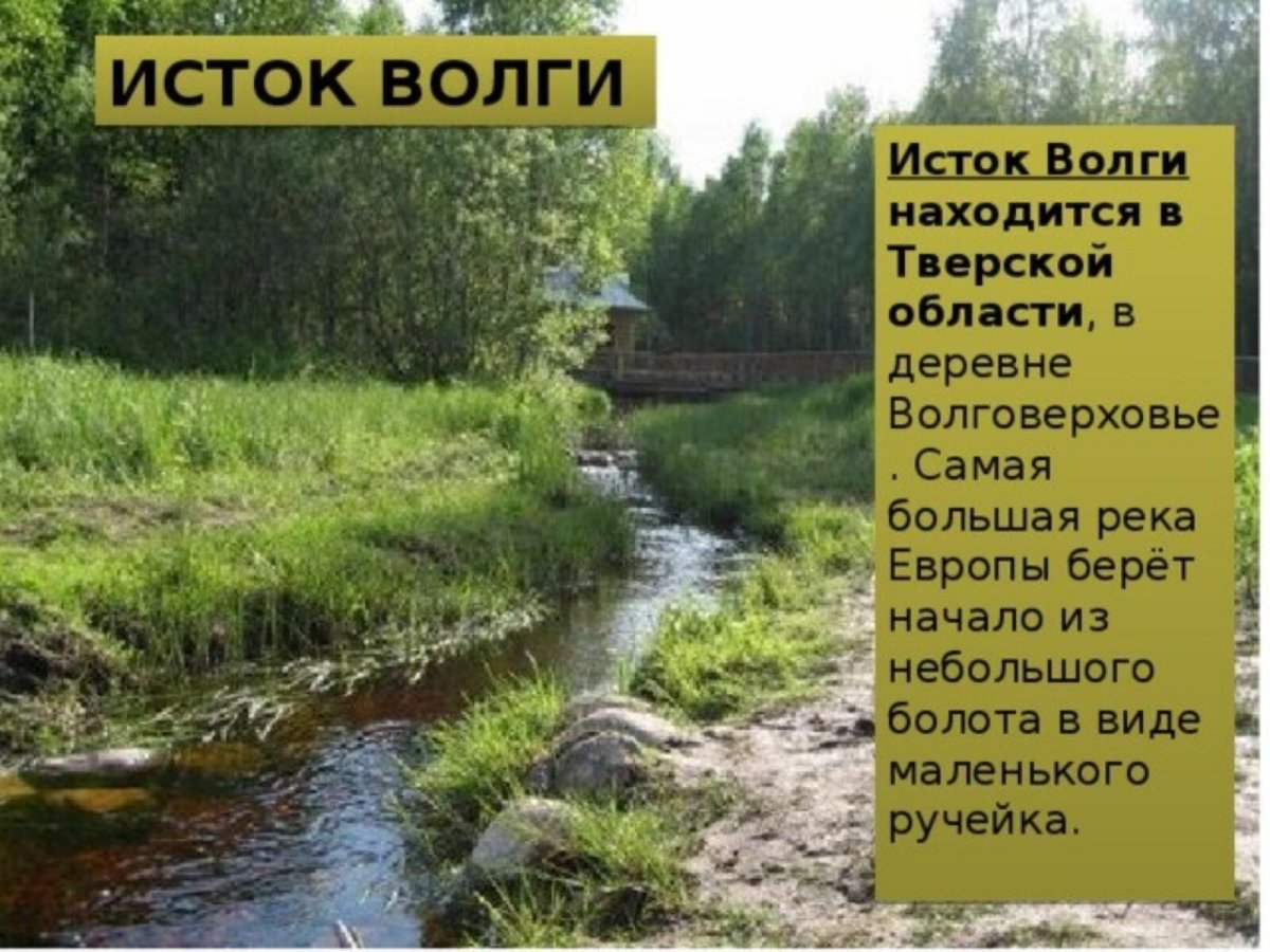 Где находится речка будет. Откуда начинается река Волга Исток. Откуда берет начало река Волга Исток реки Волги. Где находится Исток реки Волга. Начало реки Волги Исток.