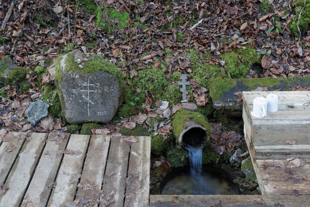 Исток реки Торопа