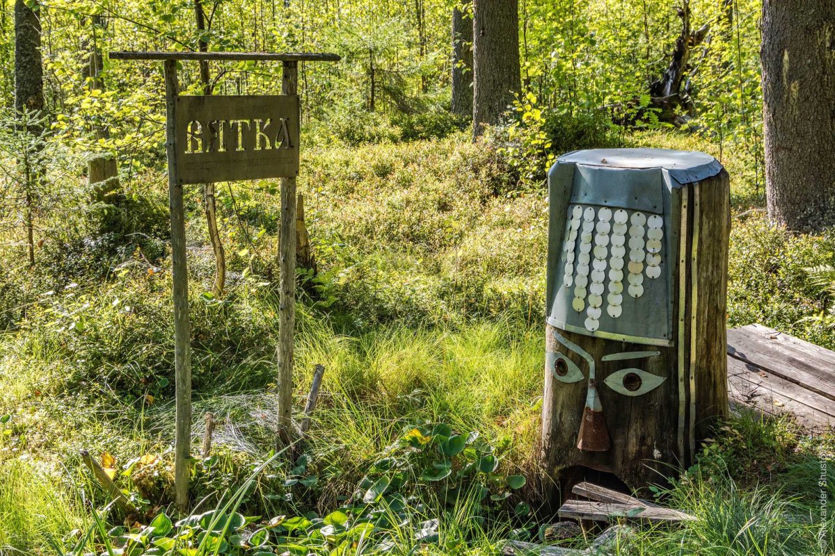 Ярский район Исток реки Вятка