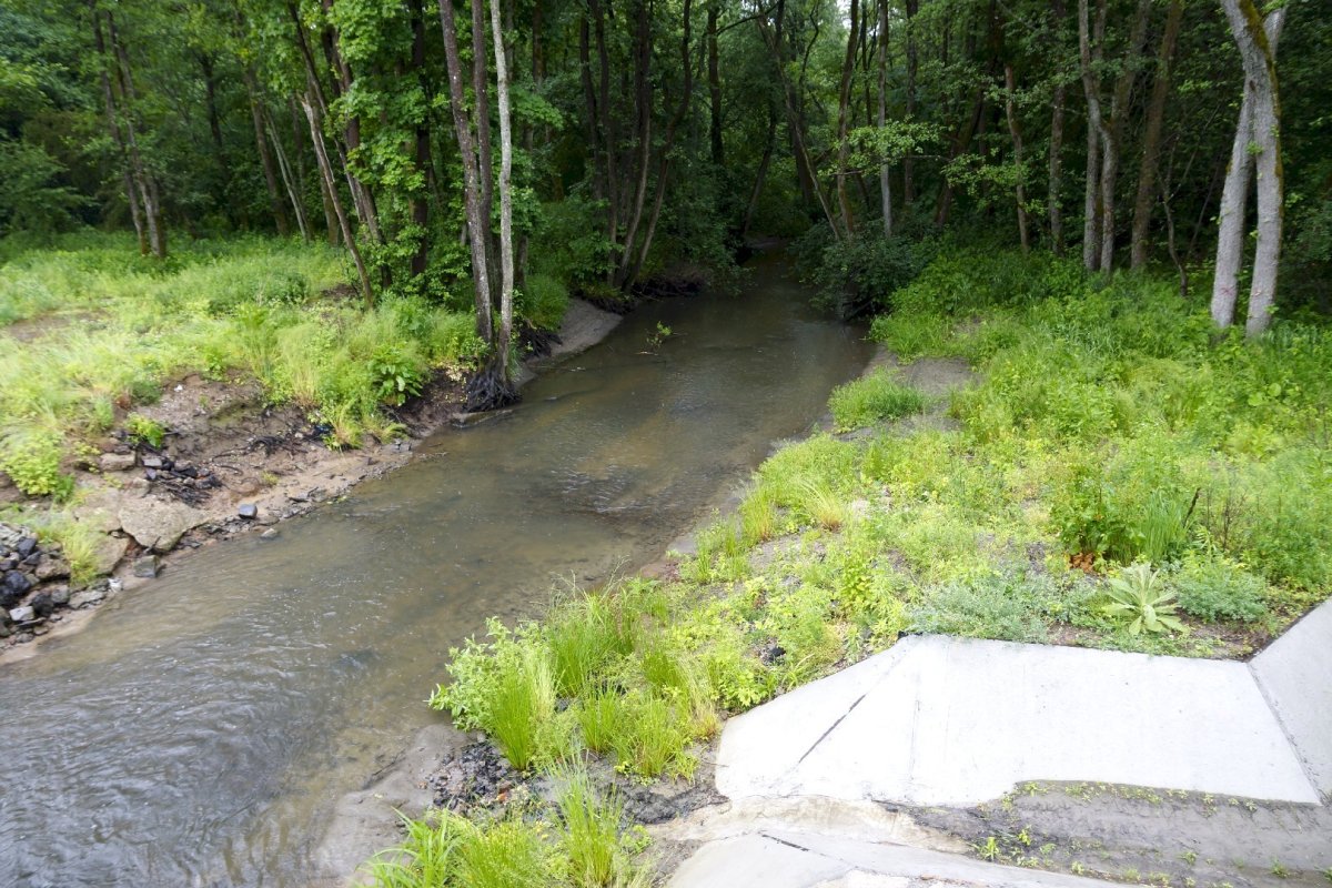 Исток реки Атмис