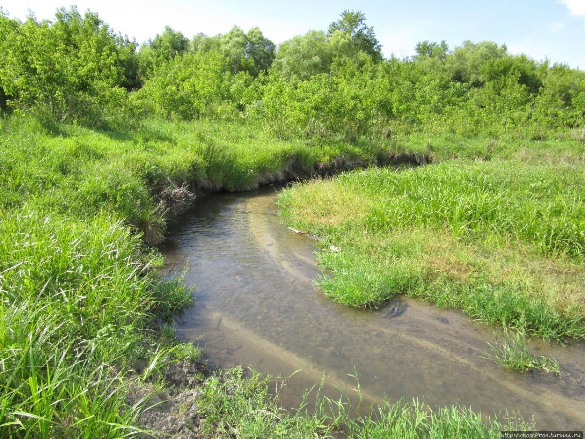 Исток реки Карабулак