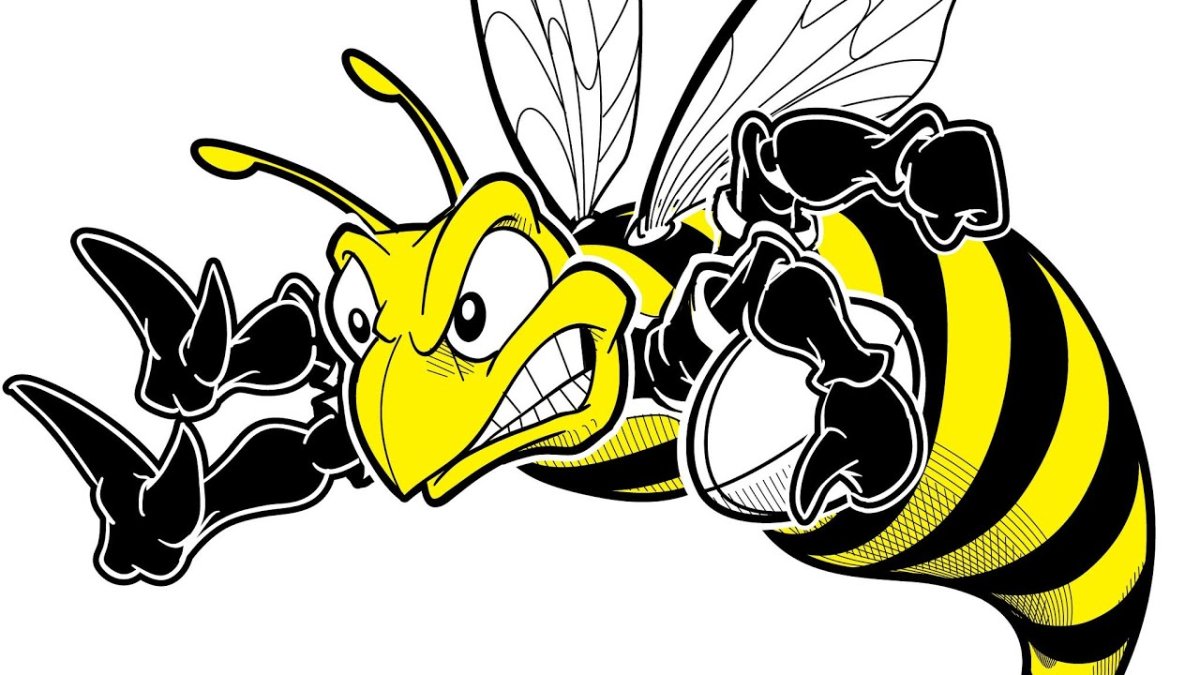 Пчела Оса Шмель Шершень арт