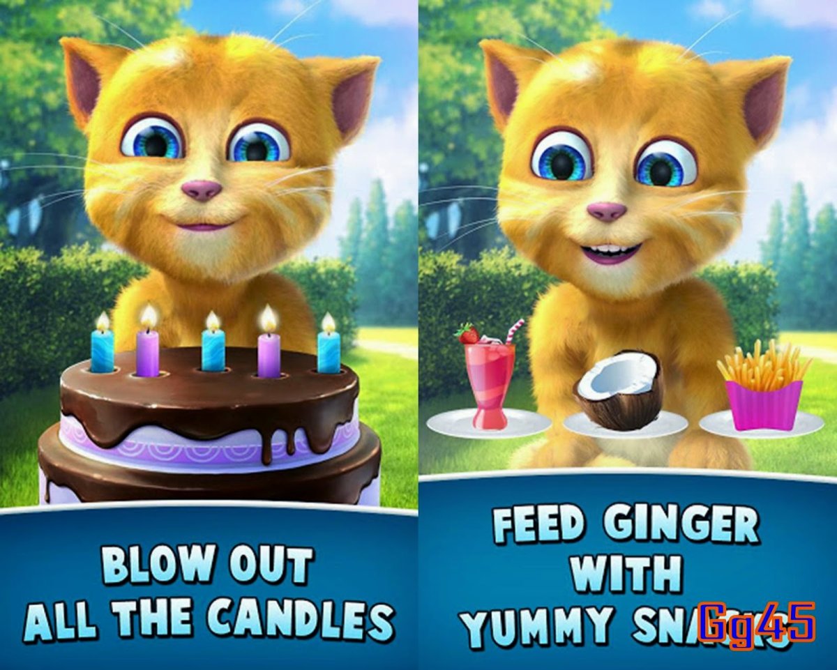 Говорящий Джинджер 2