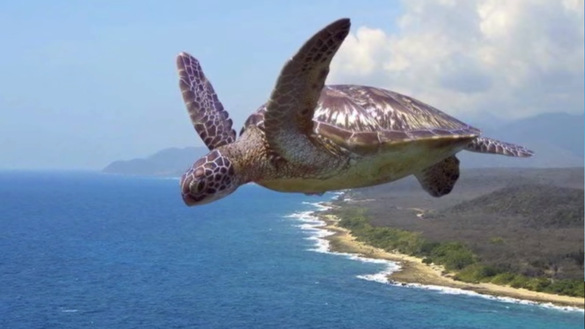 Девушка с самолетиком