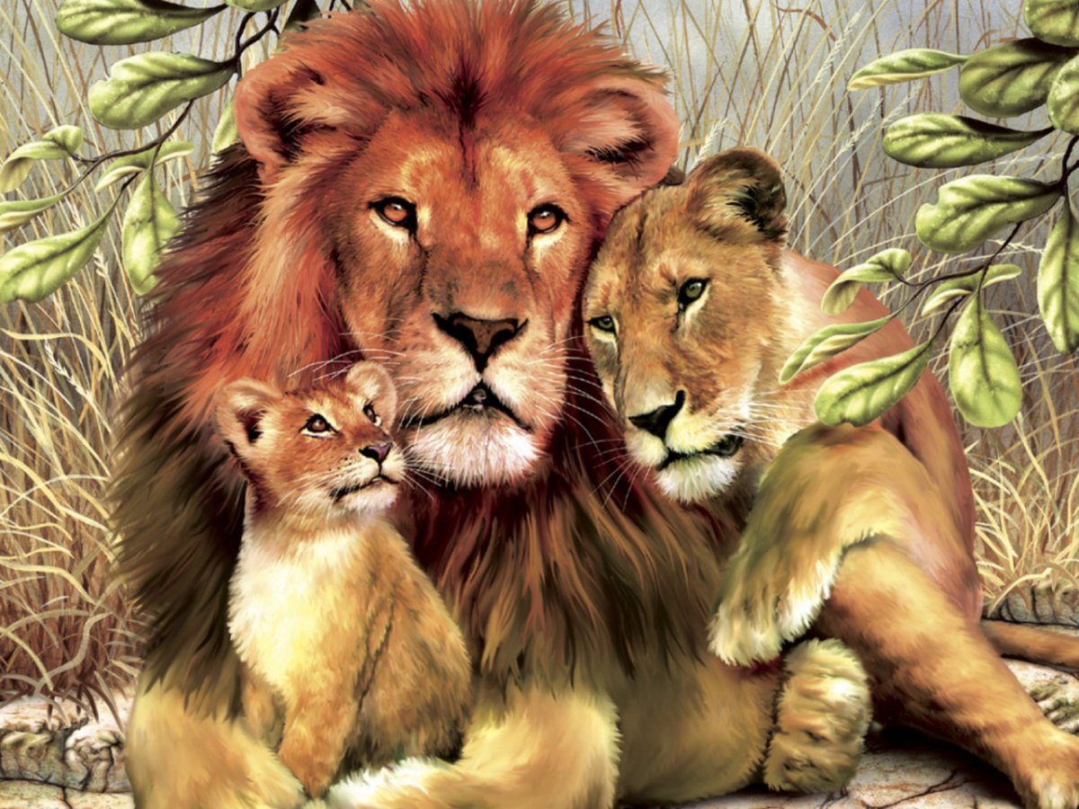 Львиная семейка 5