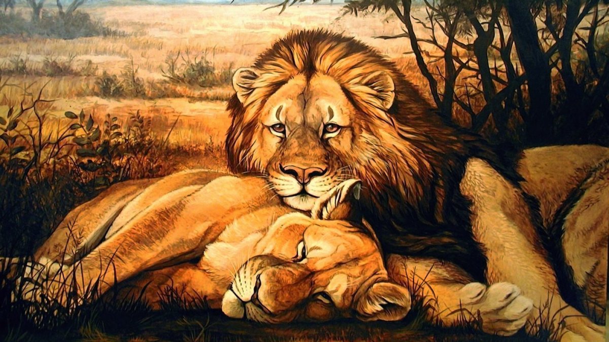 Лев львица и Львенок