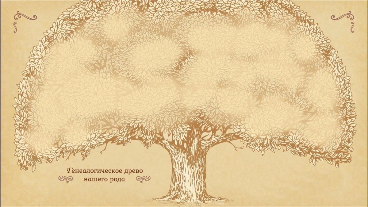 Фон для родословной