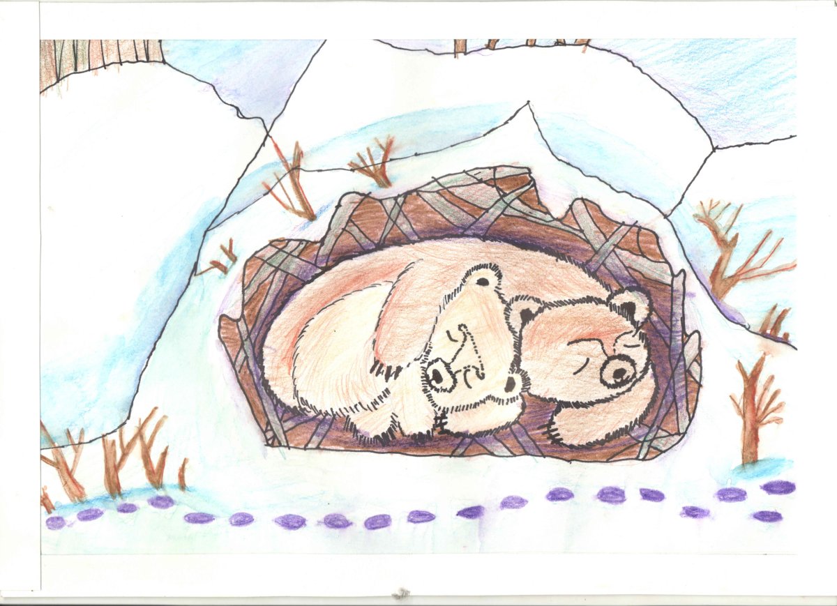 Медвежья Берлога