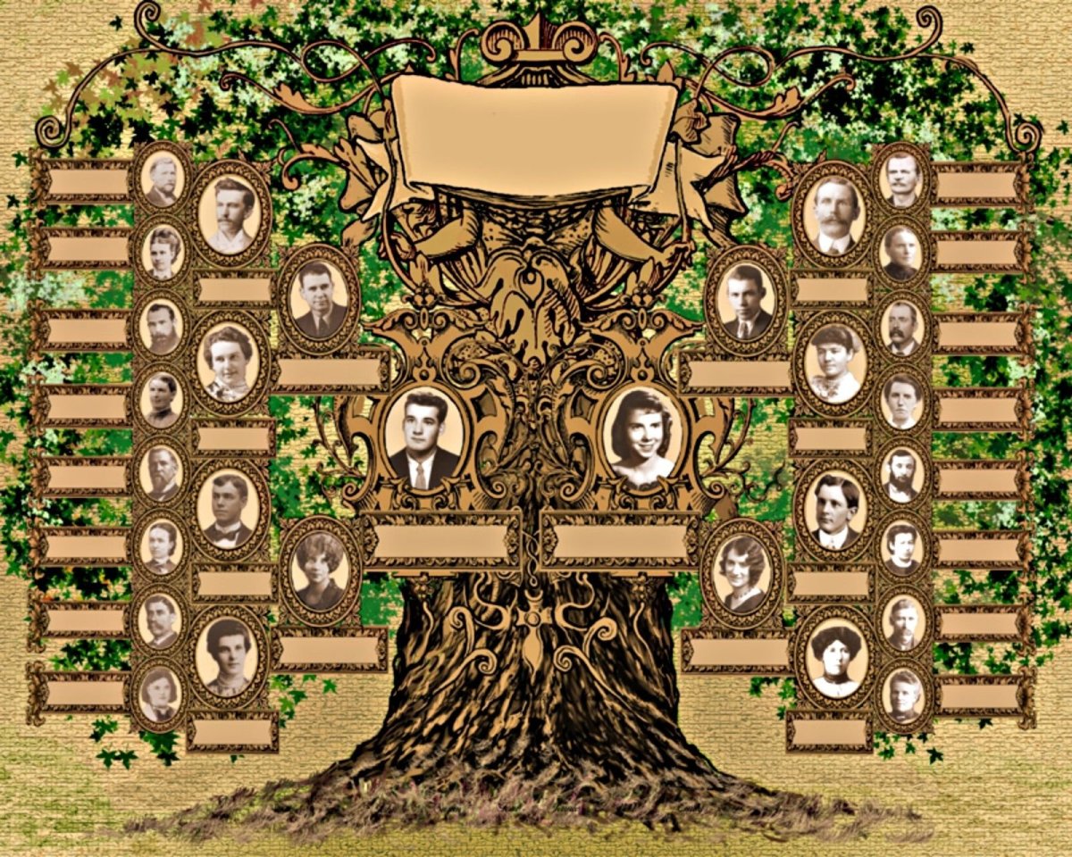 Родовое дерево семьи Зобенко