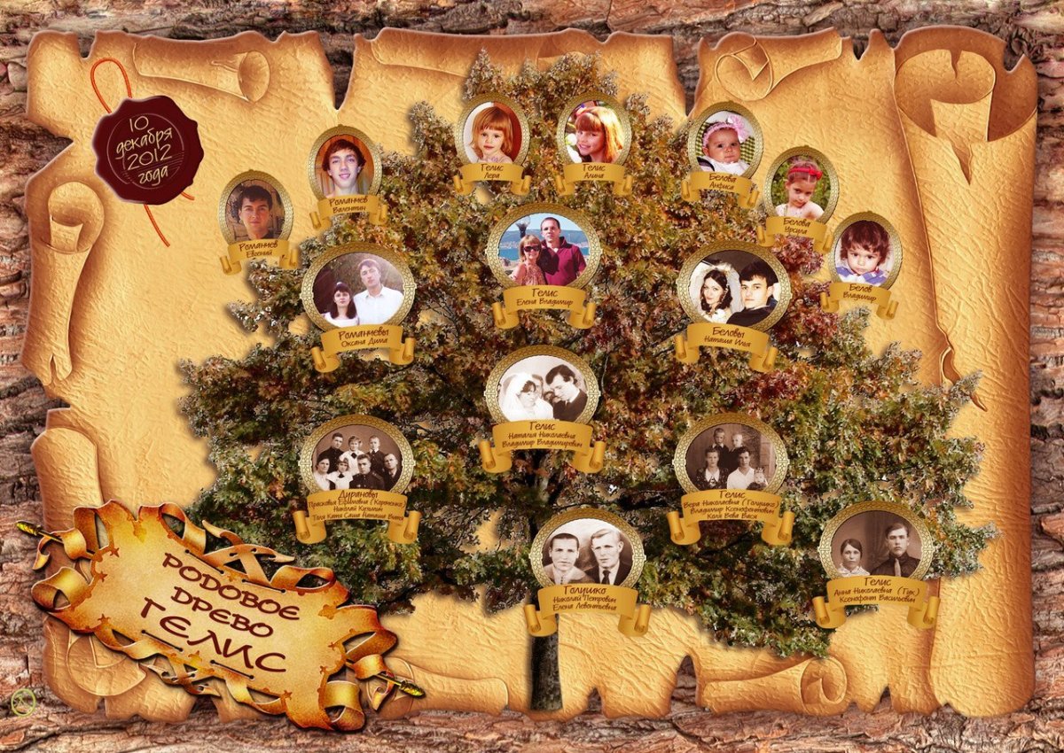 Родовое дерево