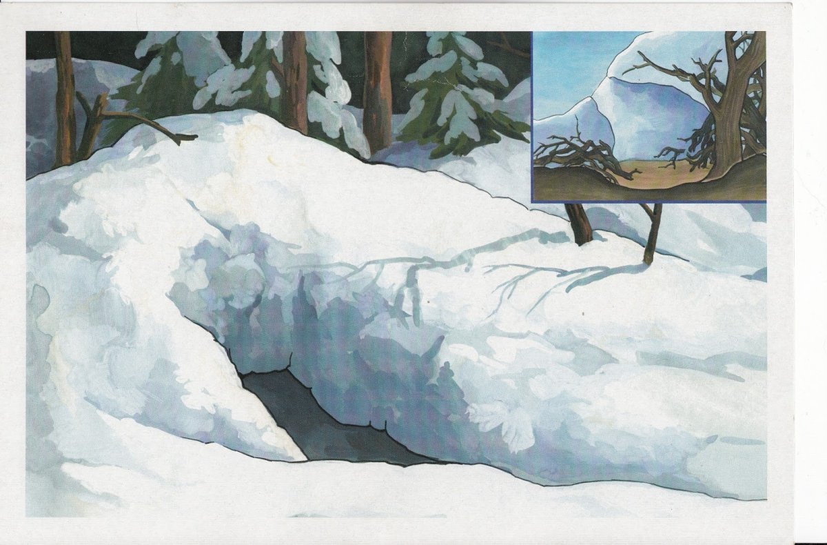 Медведь в берлоге на прозрачном фоне