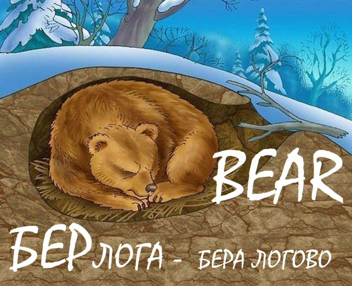 Медвежья Берлога