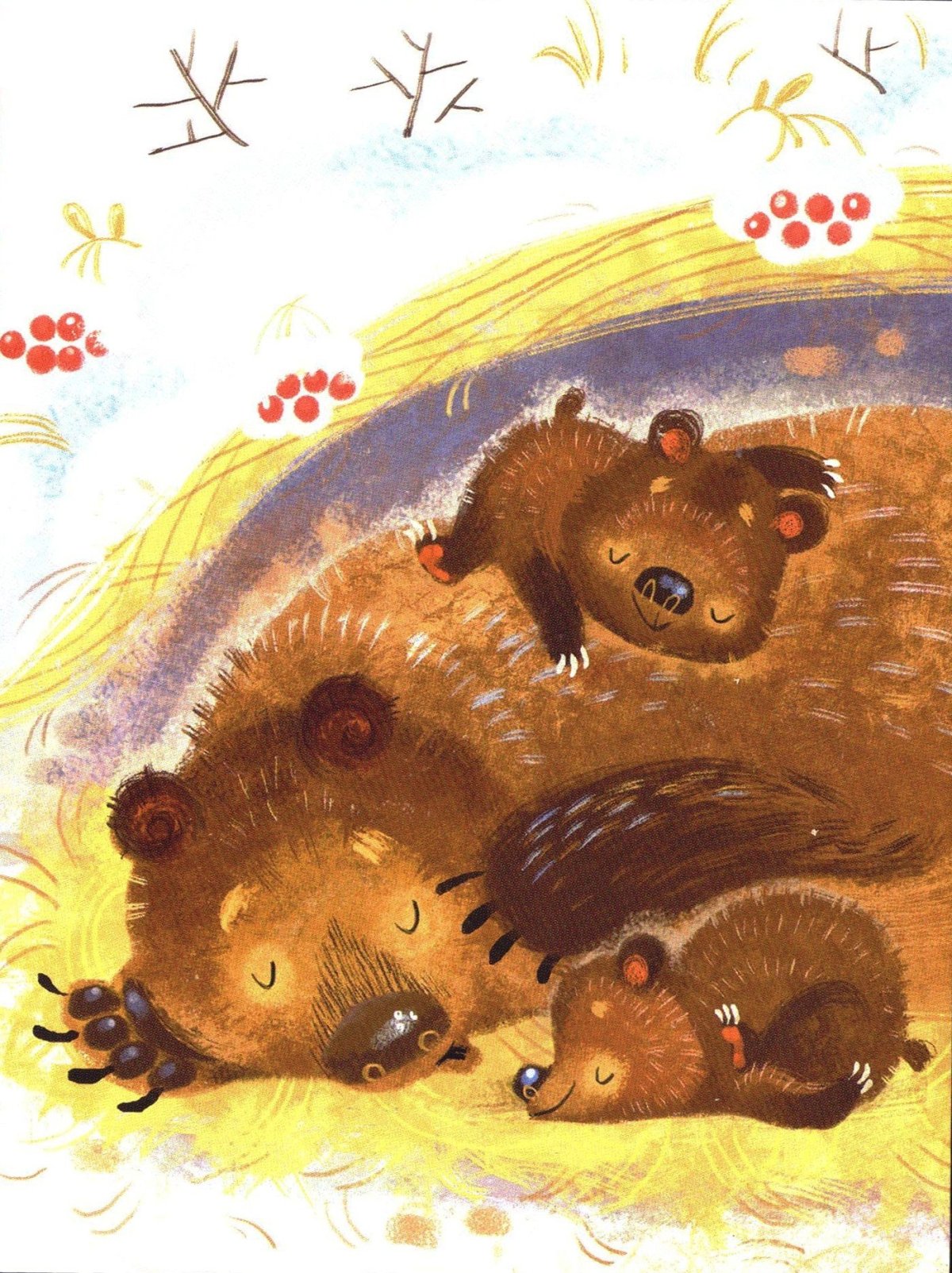 Медведь в берлоге для детей