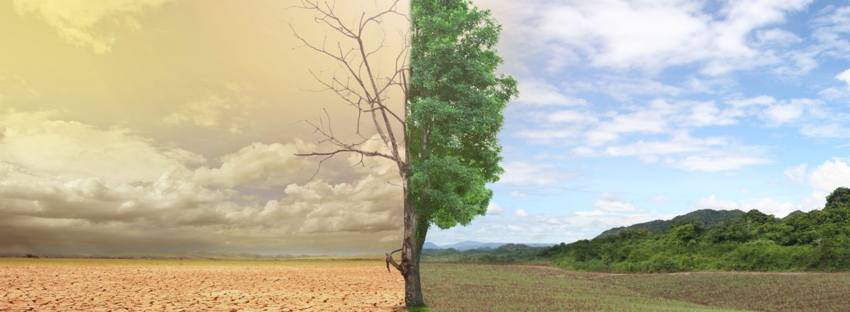 Цитаты про испытания в жизни