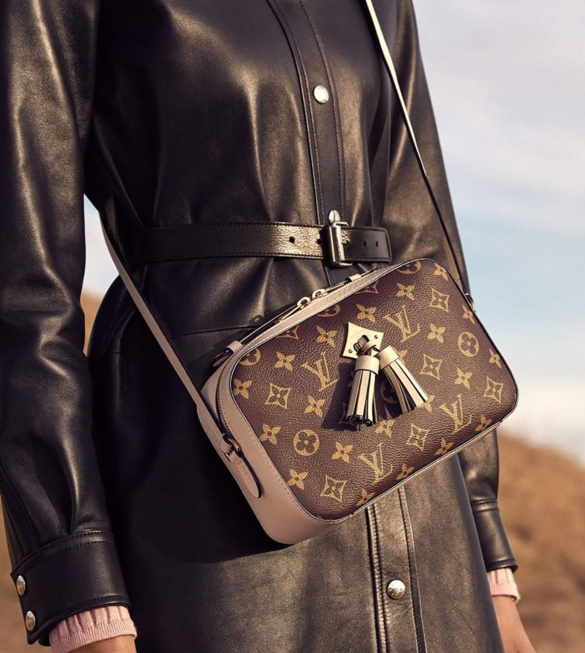 Сумка Луи Виттон Saintonge