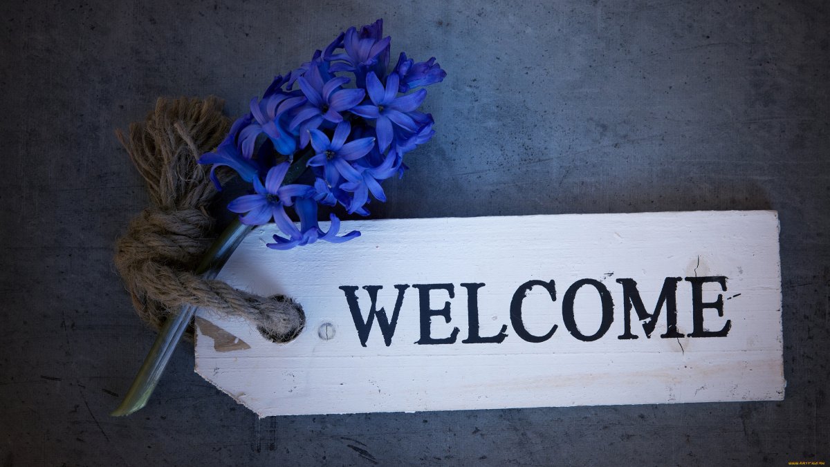 Надпись добро пожаловать