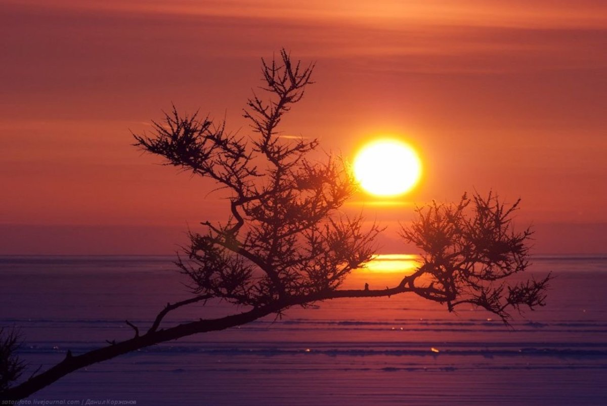 Зимний закат над озером солнца