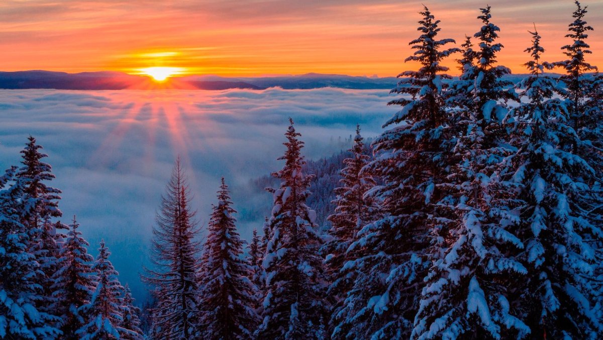 Зимний рассвет