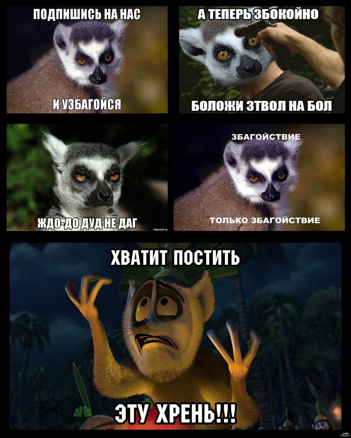 Ты узбагойся