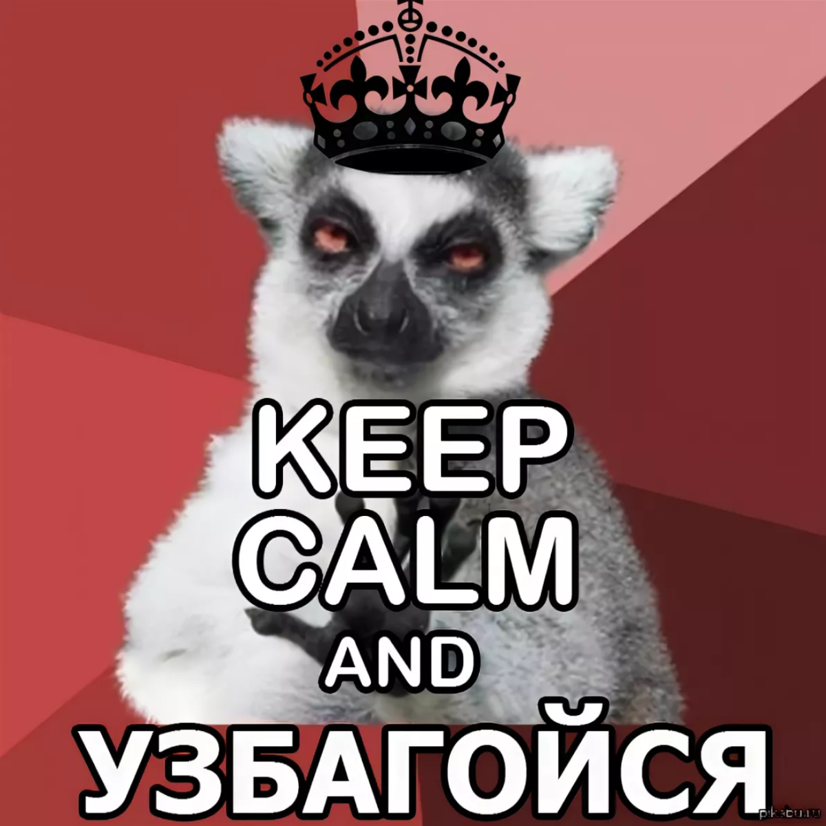 Лемур узбагоин