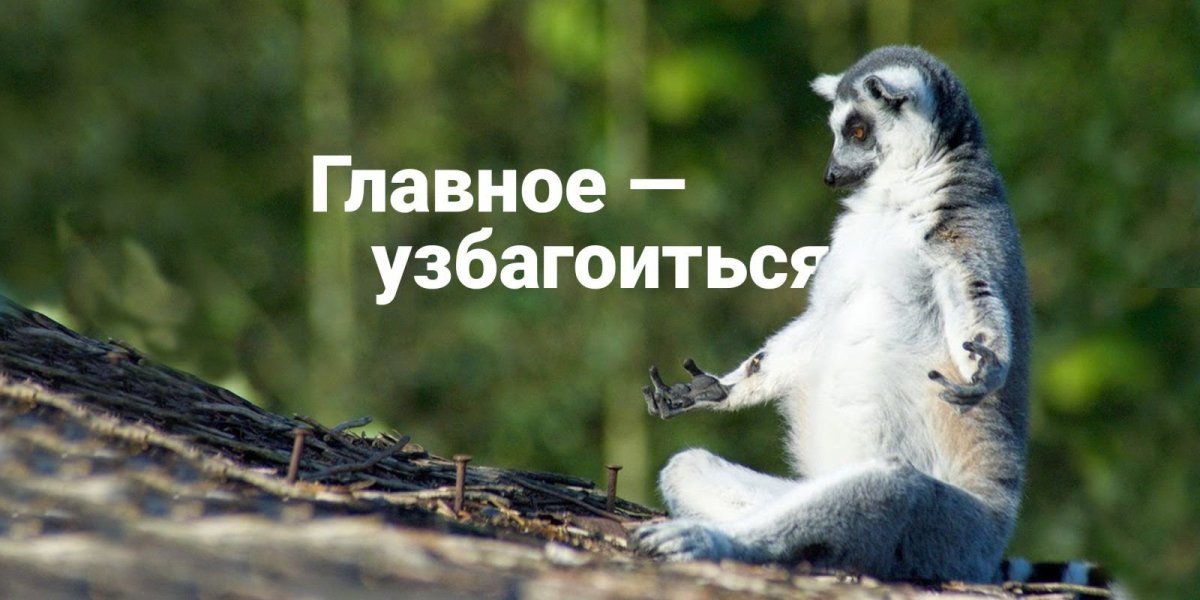 Лемур Збагойна