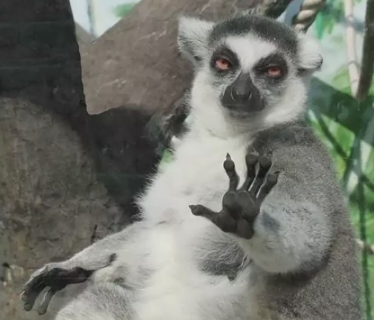 Я збагоен словно бдица