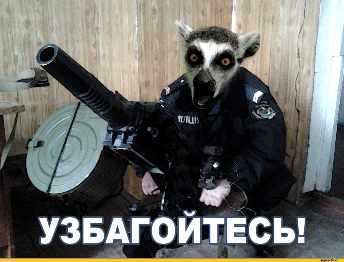 Я збагоен лемур