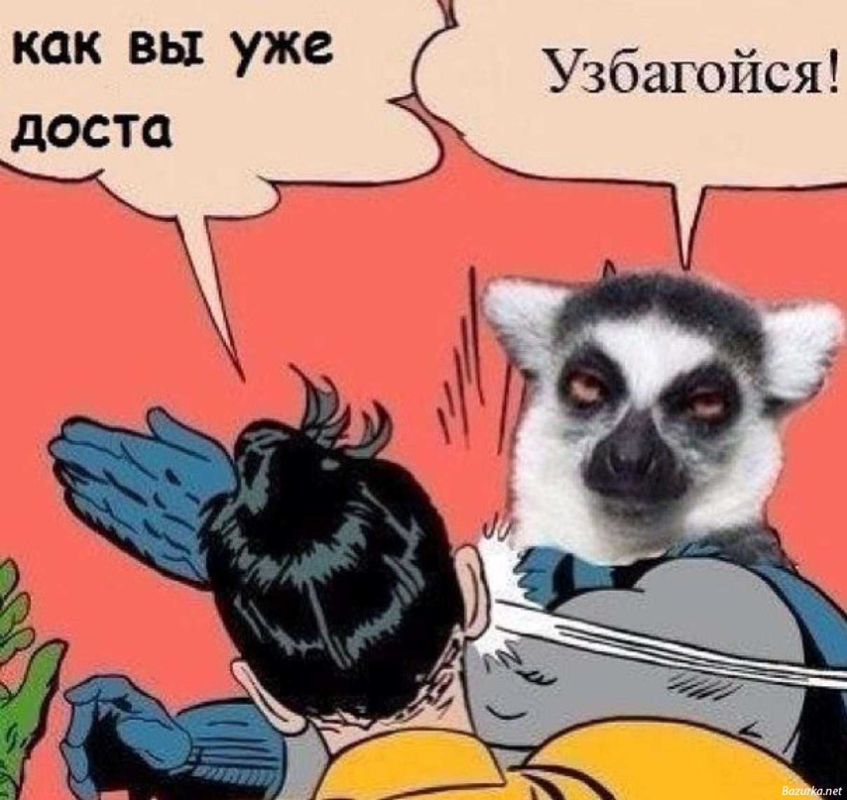 Лемур узбагойся