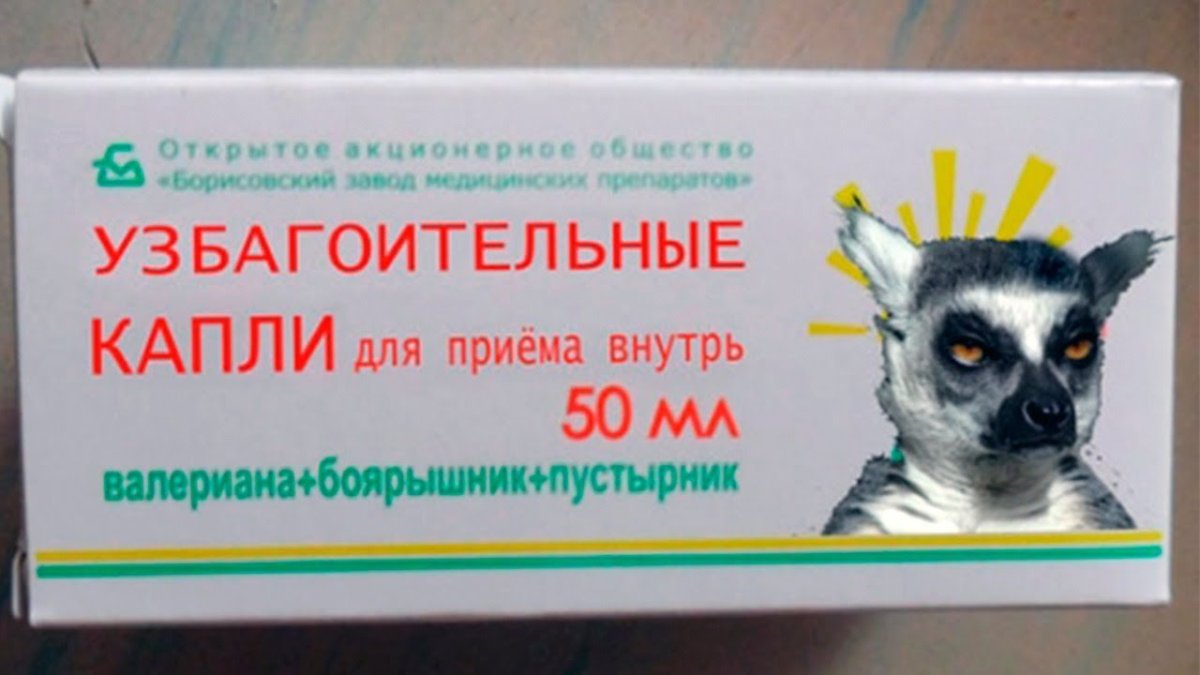 Цитаты про нервную систему