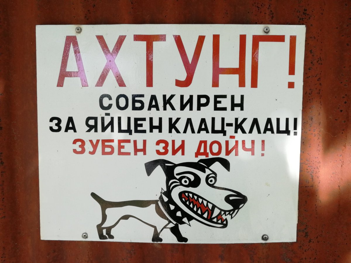 Хаски в каске