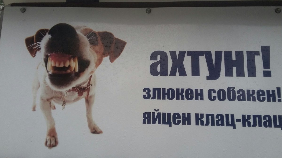 Табличка злая собака клац клац