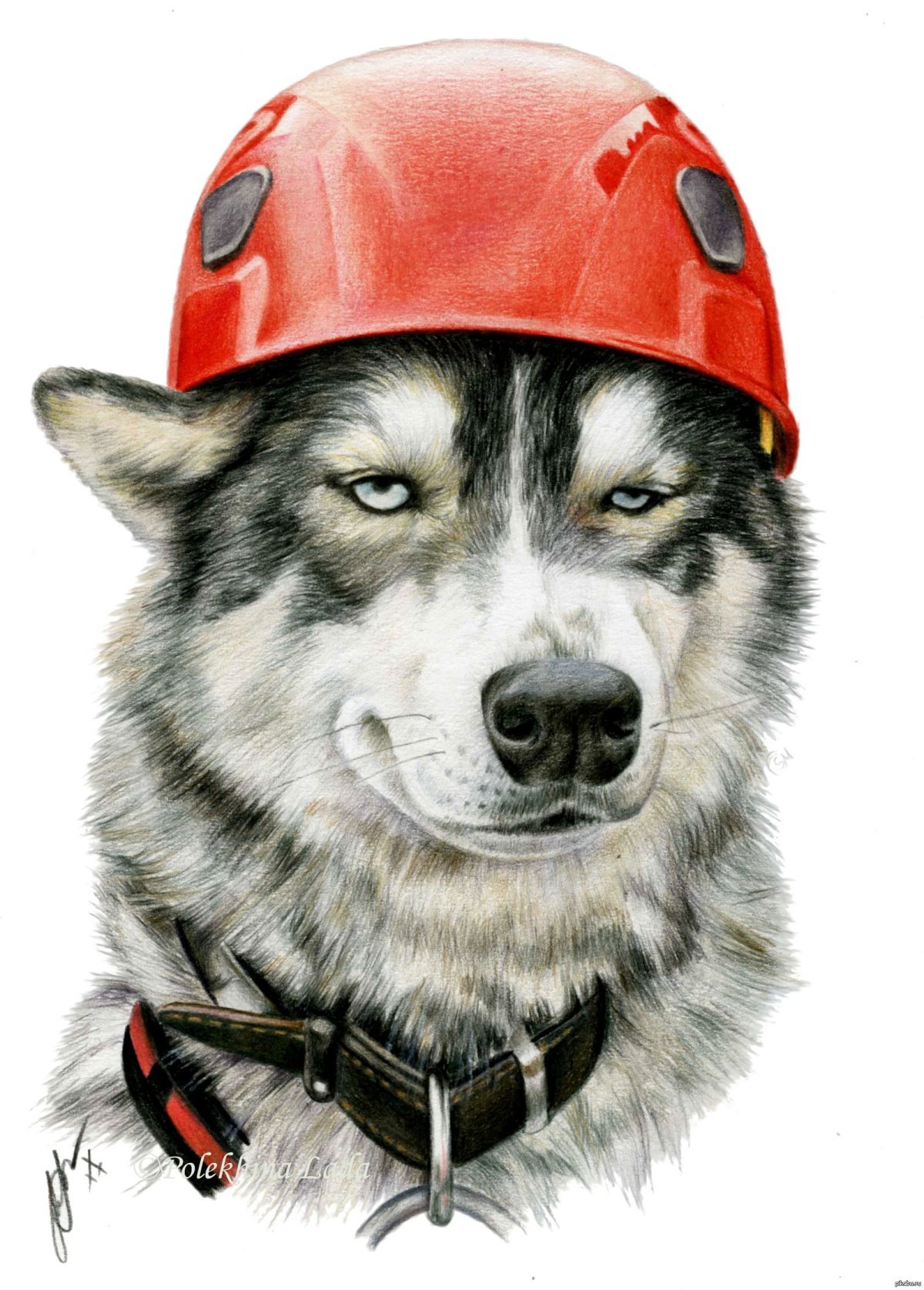 Табличка осторожно злая собака алабай